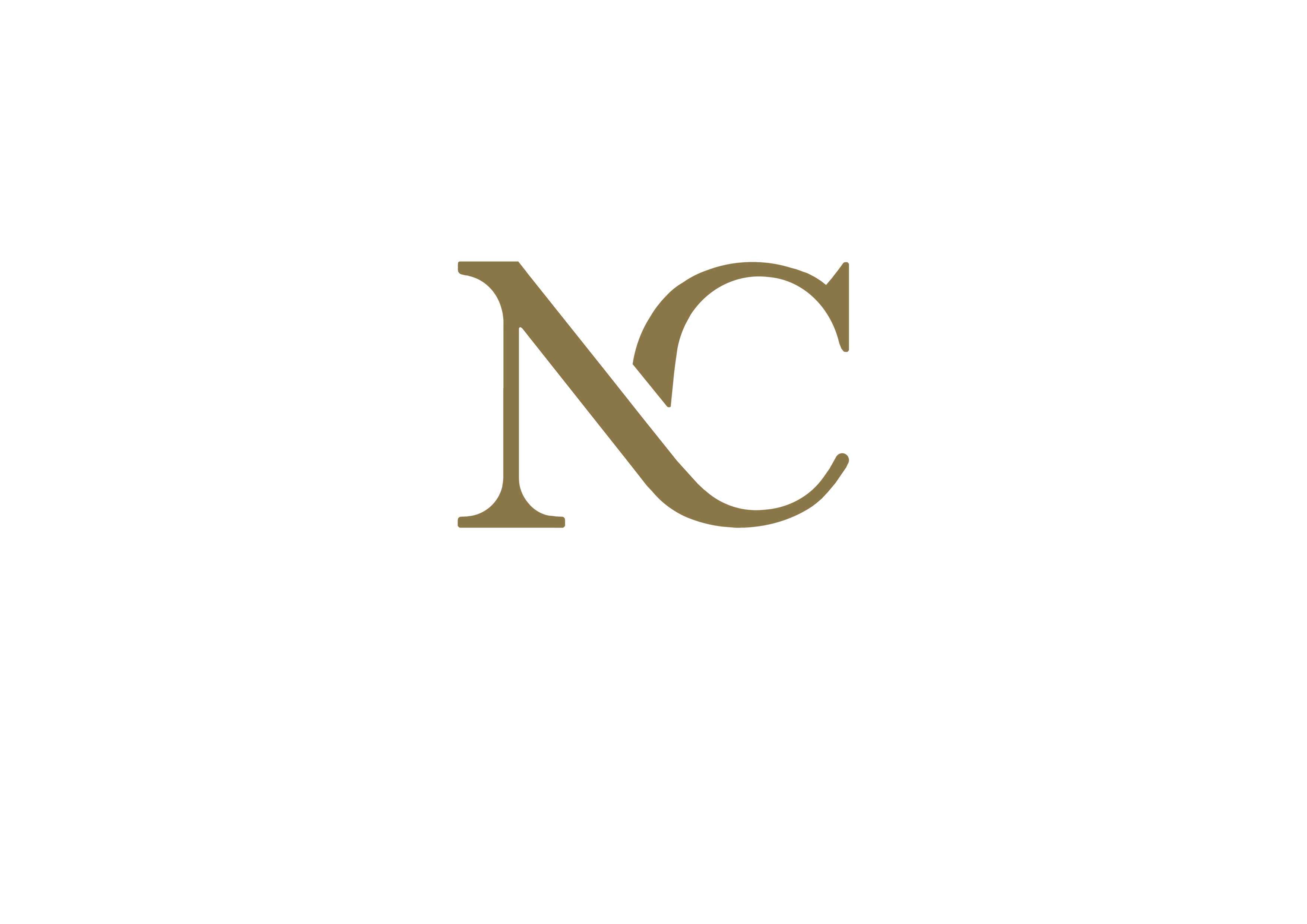 Nuit Céleste